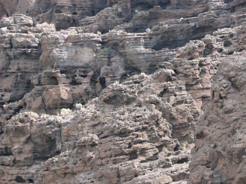 Fort Rock wall